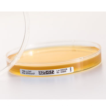 Sabouraud Dextrose Agar Long Life - 60 plates Ready to Use culture media PMM