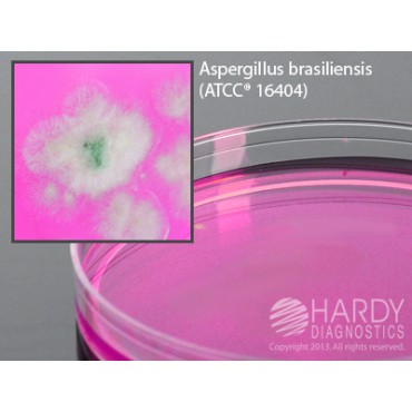 DRBC Agar plate Ready to Use culture media HARDY DIAGNOSTICS