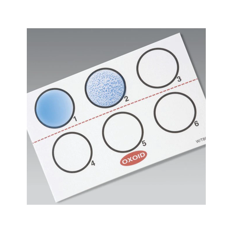 Latex de confirmation Legionella