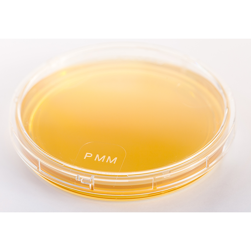 Cetrimide agar (RTU) Ready to Use culture media Biokar