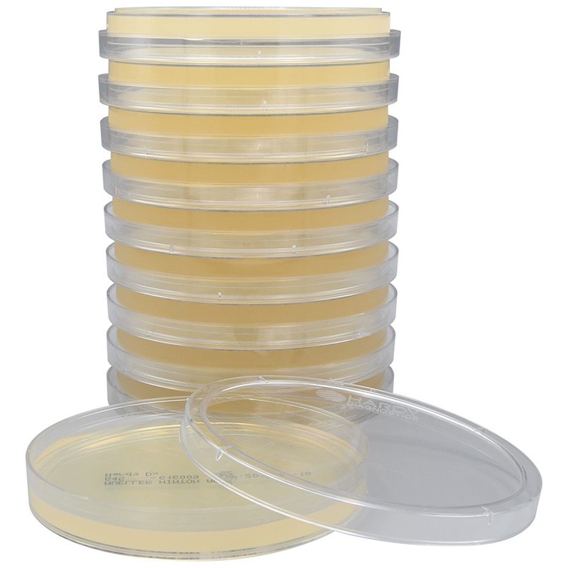 Mueller Hinton Agar plate Ready to Use culture media HARDY DIAGNOSTICS